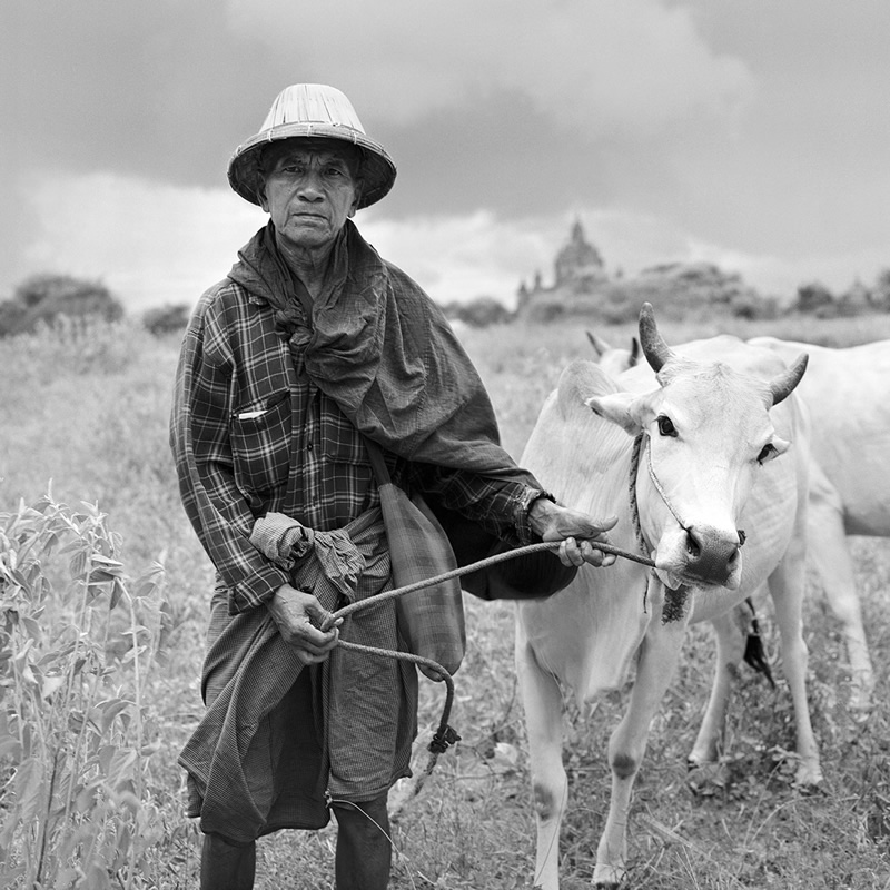 Guardians Of Paradise: Bagan, Myanmar By Ivan Maria Friedman