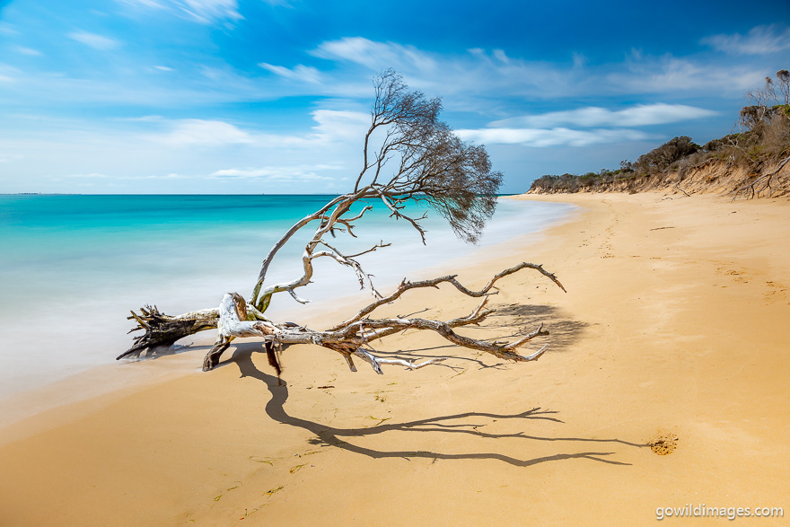 Point Nepean - National Parks In Victoria