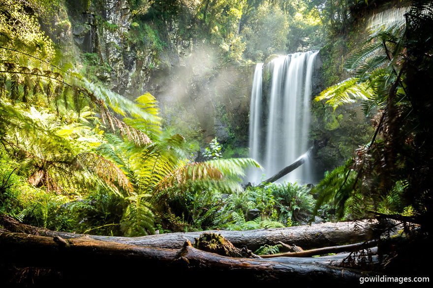 Great Otway - National Parks In Victoria