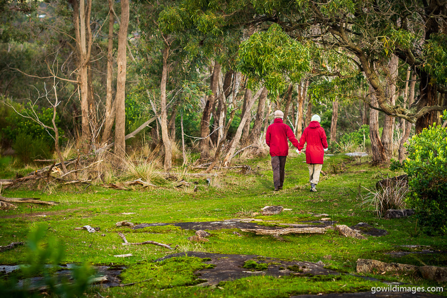 Churchill - National Parks In Victoria