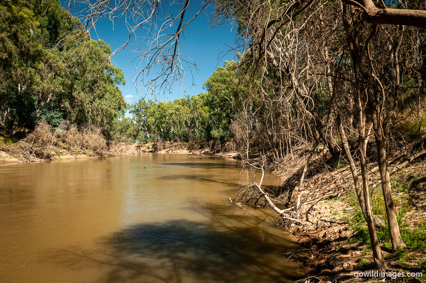 Lower Goulburn - National Parks In Victoria