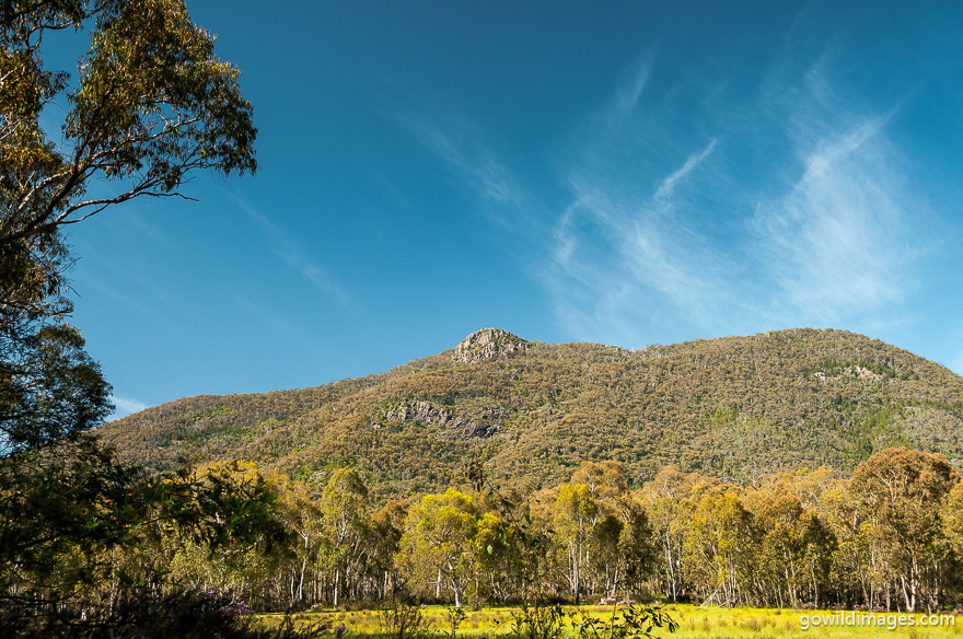 Burrowa-Pine Mountain - National Parks In Victoria