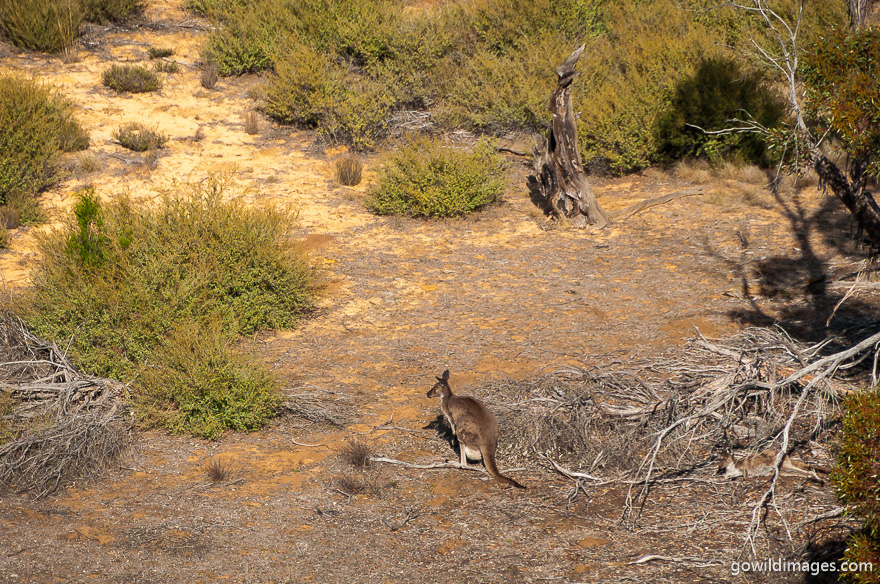 Wyperfeld - National Parks In Victoria