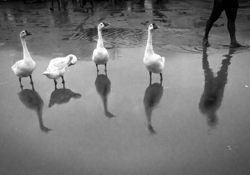 My Personal Best: Indian Photographer Nivedita Dutta