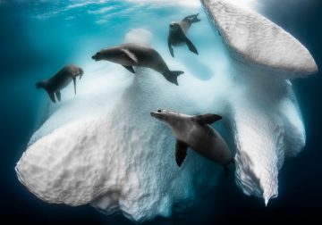 Stunning Images Of Siena International Photo Awards 2020