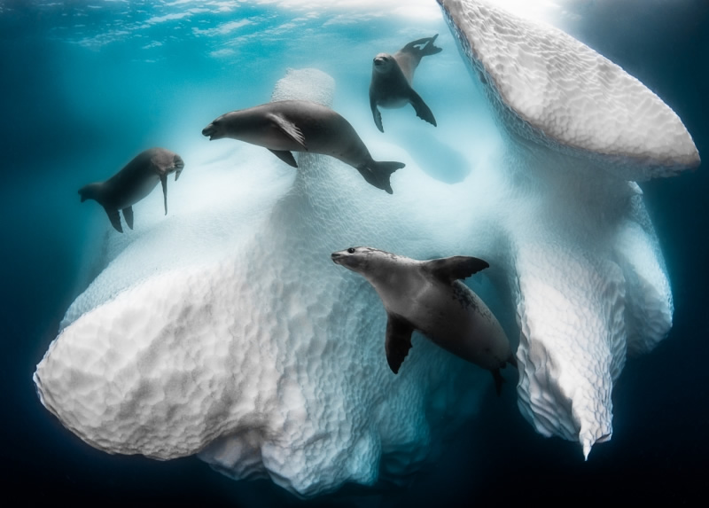Stunning Images Of Siena International Photo Awards 2020