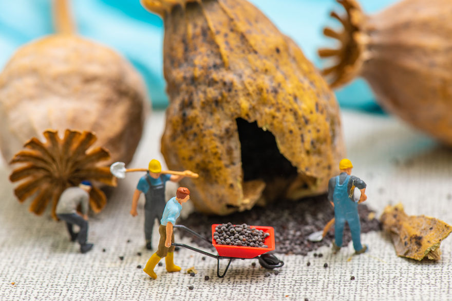 Tiny Worlds From Everyday Objects And Mini Figurines By Peter Csakvari