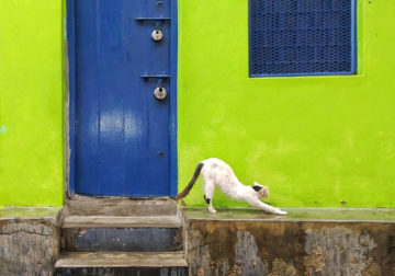 Street Photography & The Art of Composition