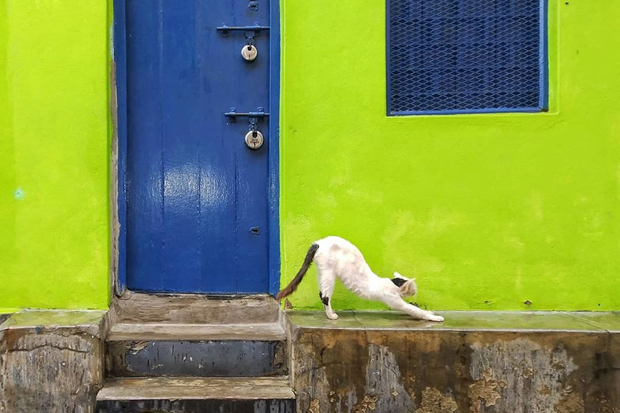 Street Photography & The Art of Composition