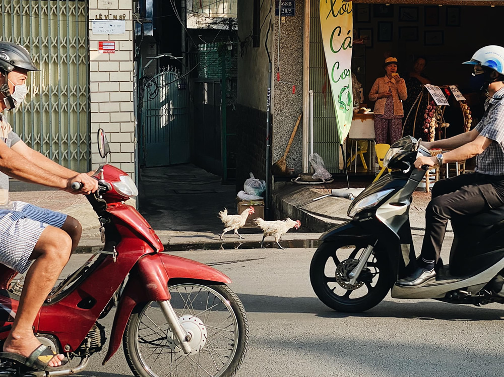 Year Of The Mask: Photo Series By Vietnamese Photographer Tuan Le