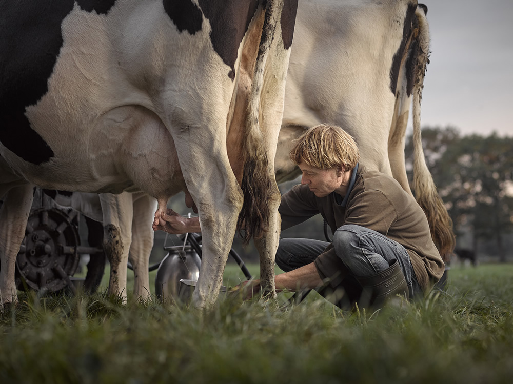 Boer Gerrit: The Last Farmer In Usselo Captured By Jeroen Nieuwhuis