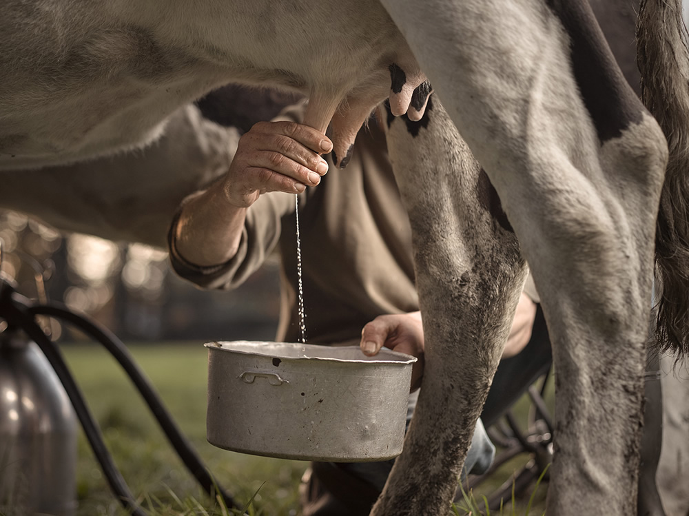 Boer Gerrit: The Last Farmer In Usselo Captured By Jeroen Nieuwhuis