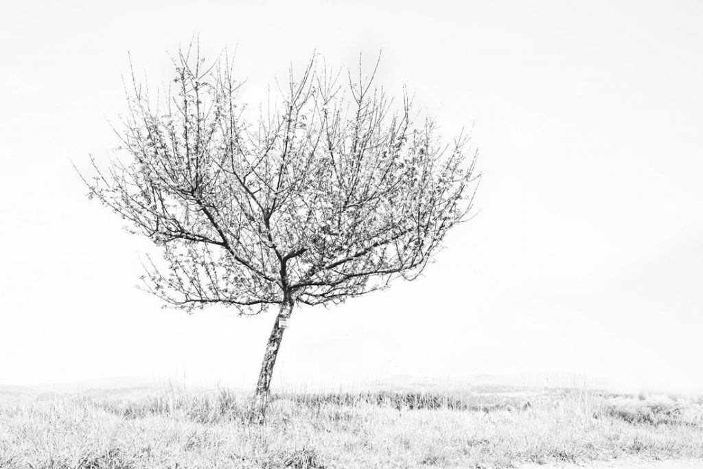 GuruShots Winning Images From The Power of Minimalism Challenge