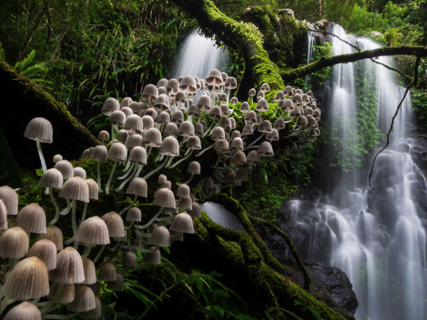 The Winning Photos Of Nature Photographer Of The Year 2020