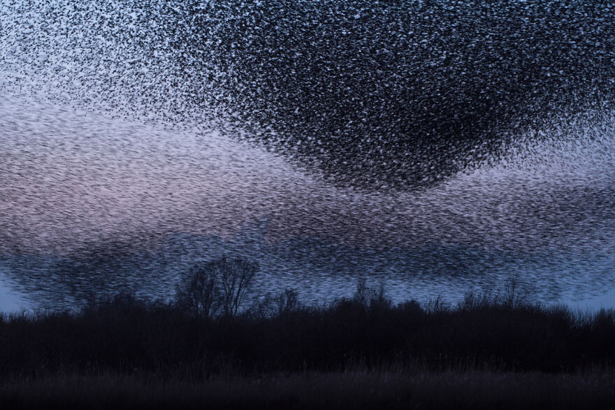 The Winning Photos Of Nature Photographer Of The Year 2020