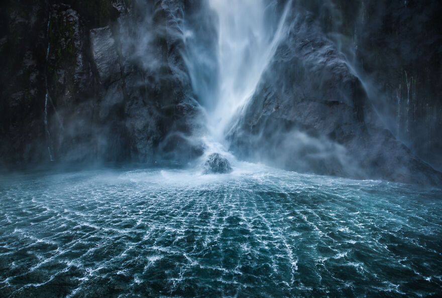 The Winning Photos Of Nature Photographer Of The Year 2020