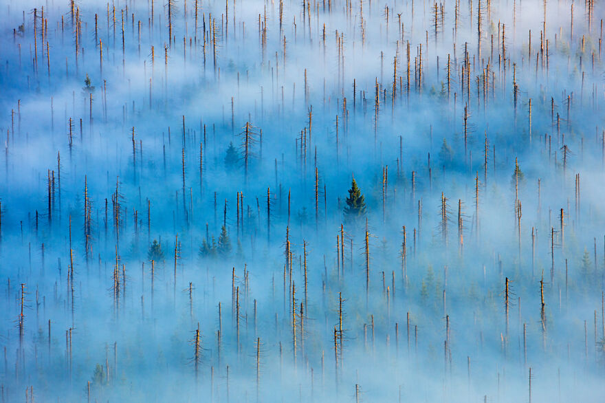The Winning Photos Of Nature Photographer Of The Year 2020