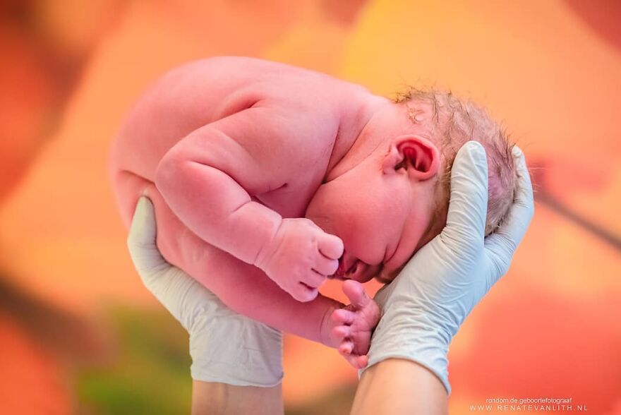 Photographer Renate van Lith Amazingly Captured Raw And Powerful Side Of Birth