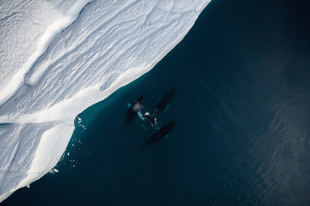 Above Greenland: A Photography Series By Christian Hoiberg