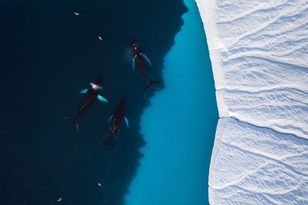 Above Greenland: A Photography Series By Christian Hoiberg