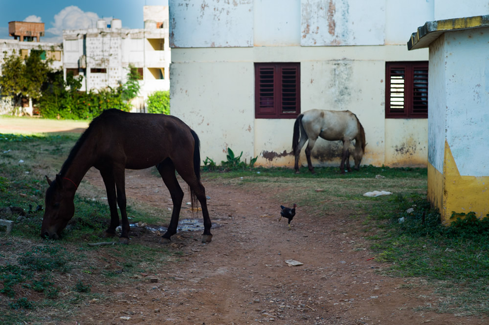 My Personal Best: Italian Photographer Adriana Ferrarese