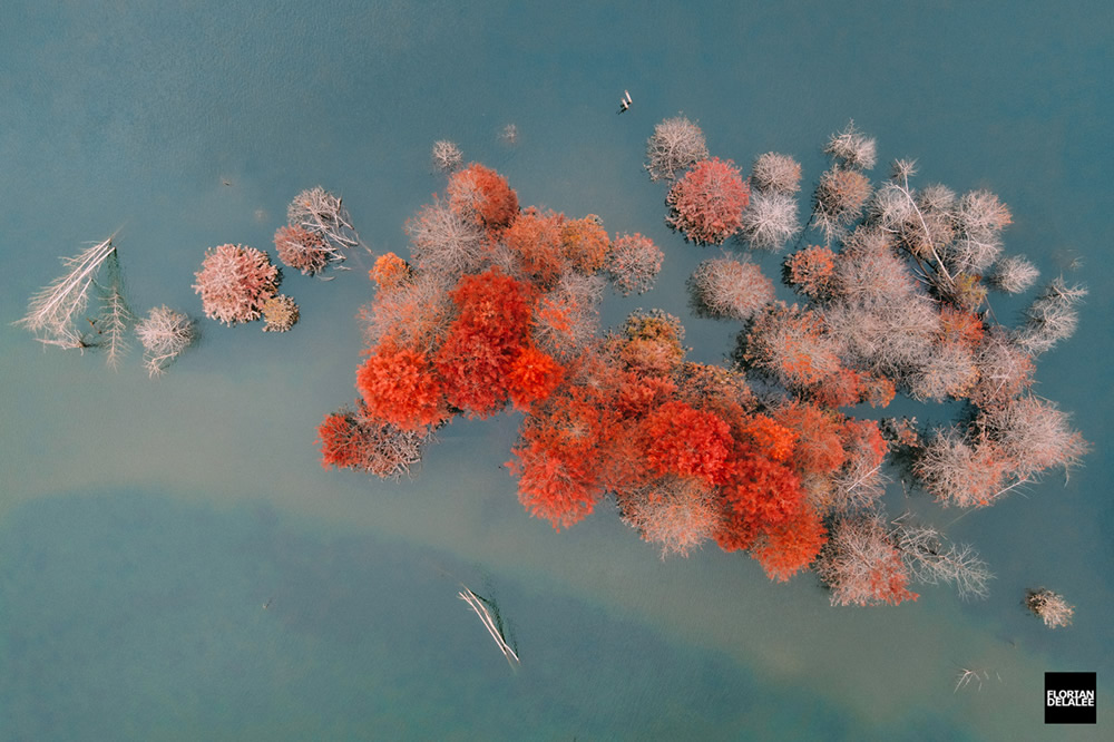 Red Forest: Autumn In Anhui By Florian Delalee