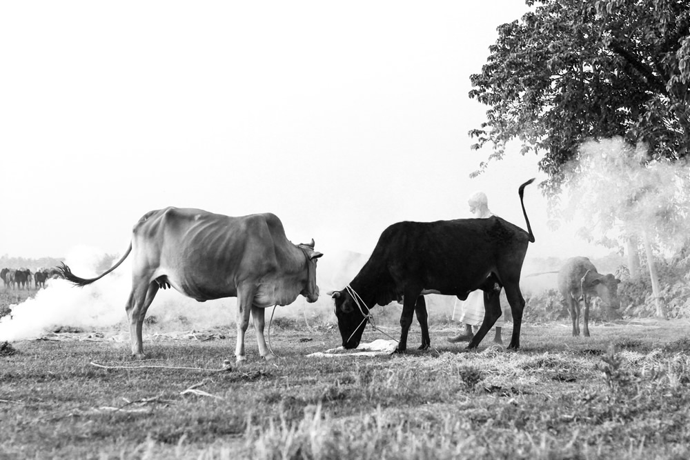 My Personal Best: Bangladeshi Photographer Sazzad Hosssain Shanto