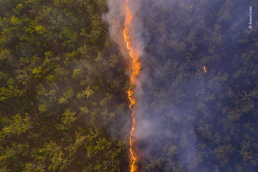 Choose The People's Choice Award For Wildlife Photographer Of The Year