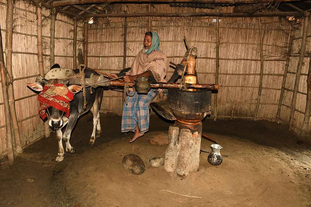 Winter Life In Villages Of Bangladesh By Md. Sharif Uddin