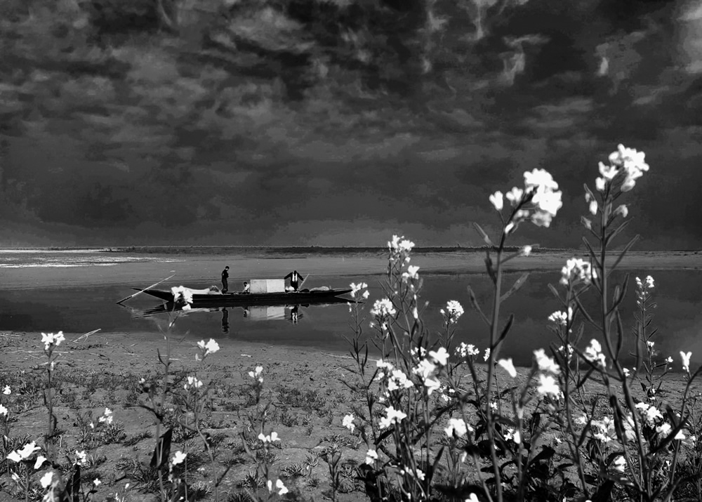 Life Around The Mustard Field By Md. Mahatur Rahman