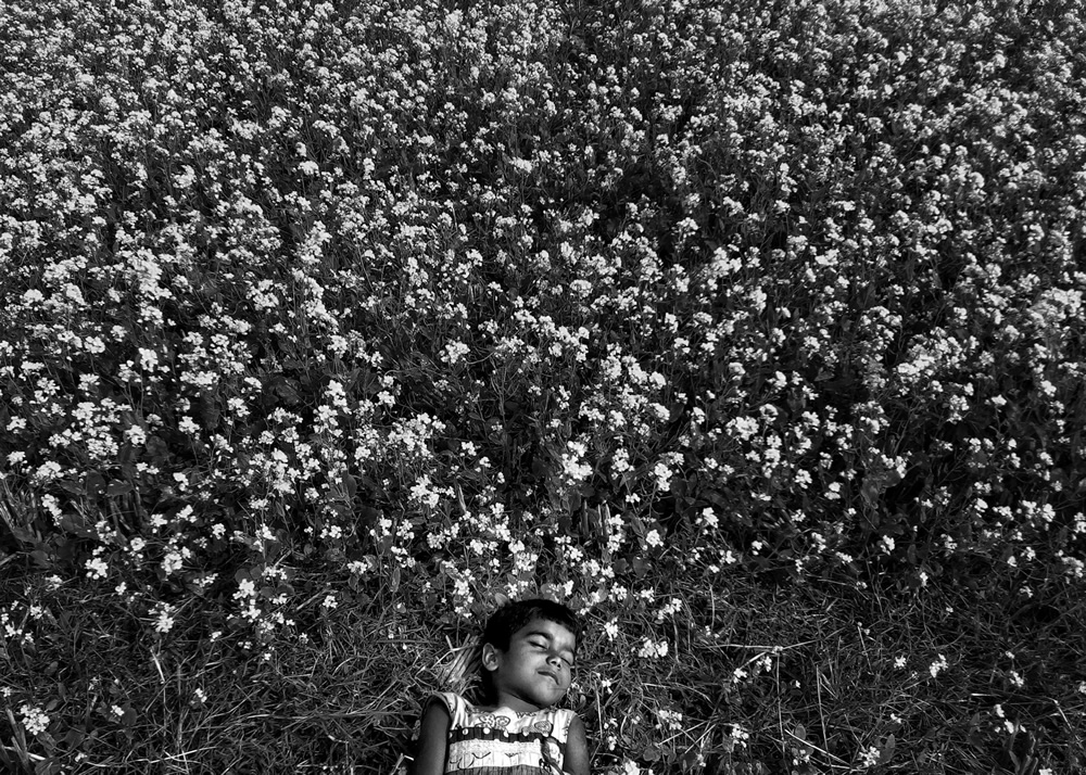 Life Around The Mustard Field By Md. Mahatur Rahman