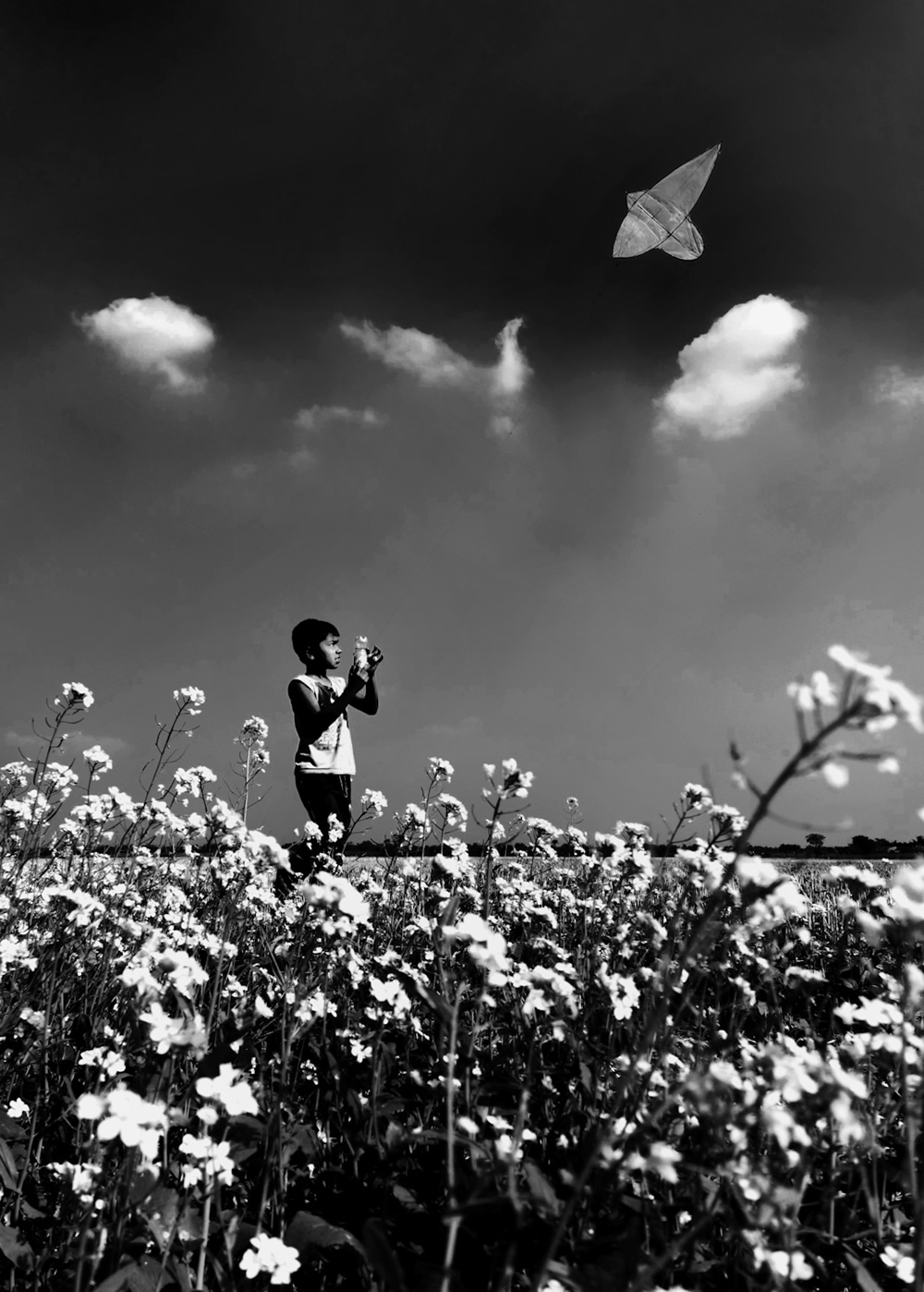 Life Around The Mustard Field By Md. Mahatur Rahman