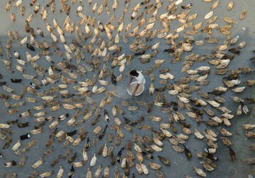 My Personal Best: Bangladeshi Photographer Tanzid Ahmed Apu