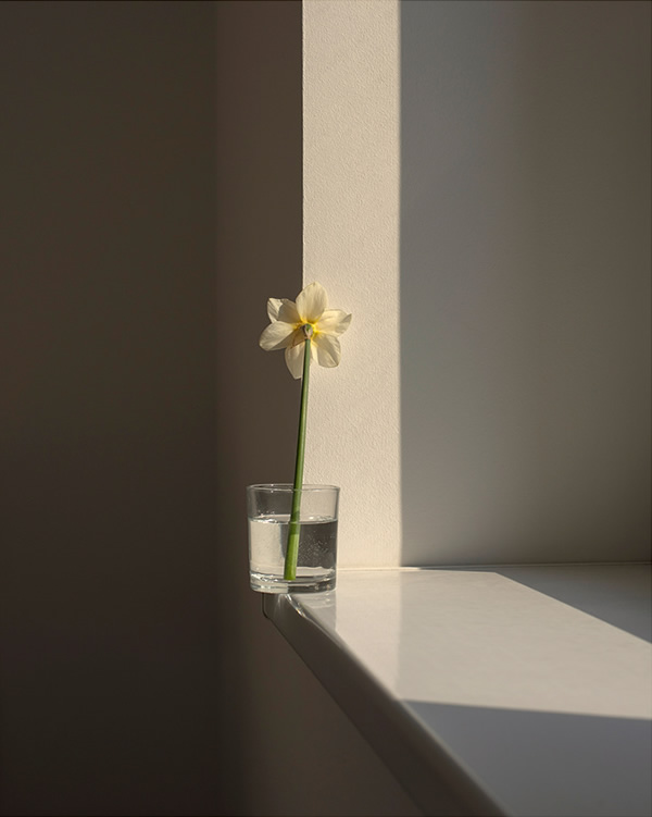 The Bright Shadow: Soulful Series By Marietta Varga