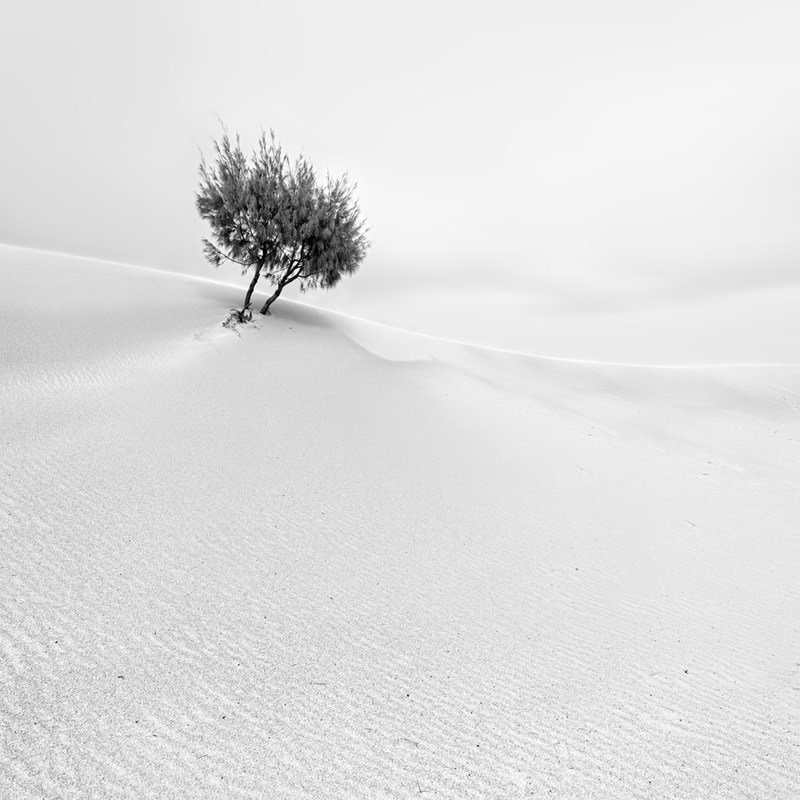 Winners of Black and White Minimalist Photography Prize 2021