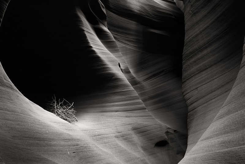 Winners of Black and White Minimalist Photography Prize 2021