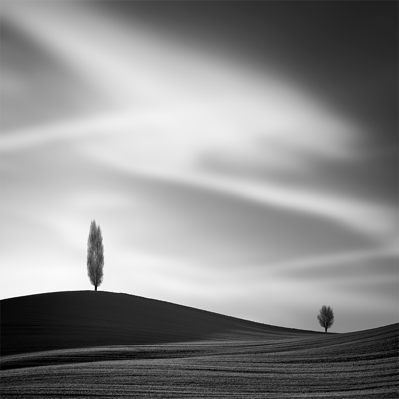 Winners of Black and White Minimalist Photography Prize 2021