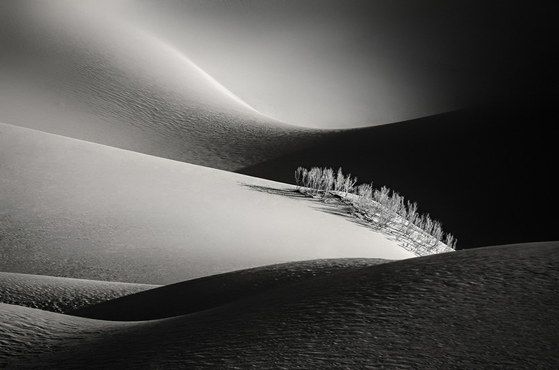 Winners of Black and White Minimalist Photography Prize 2021