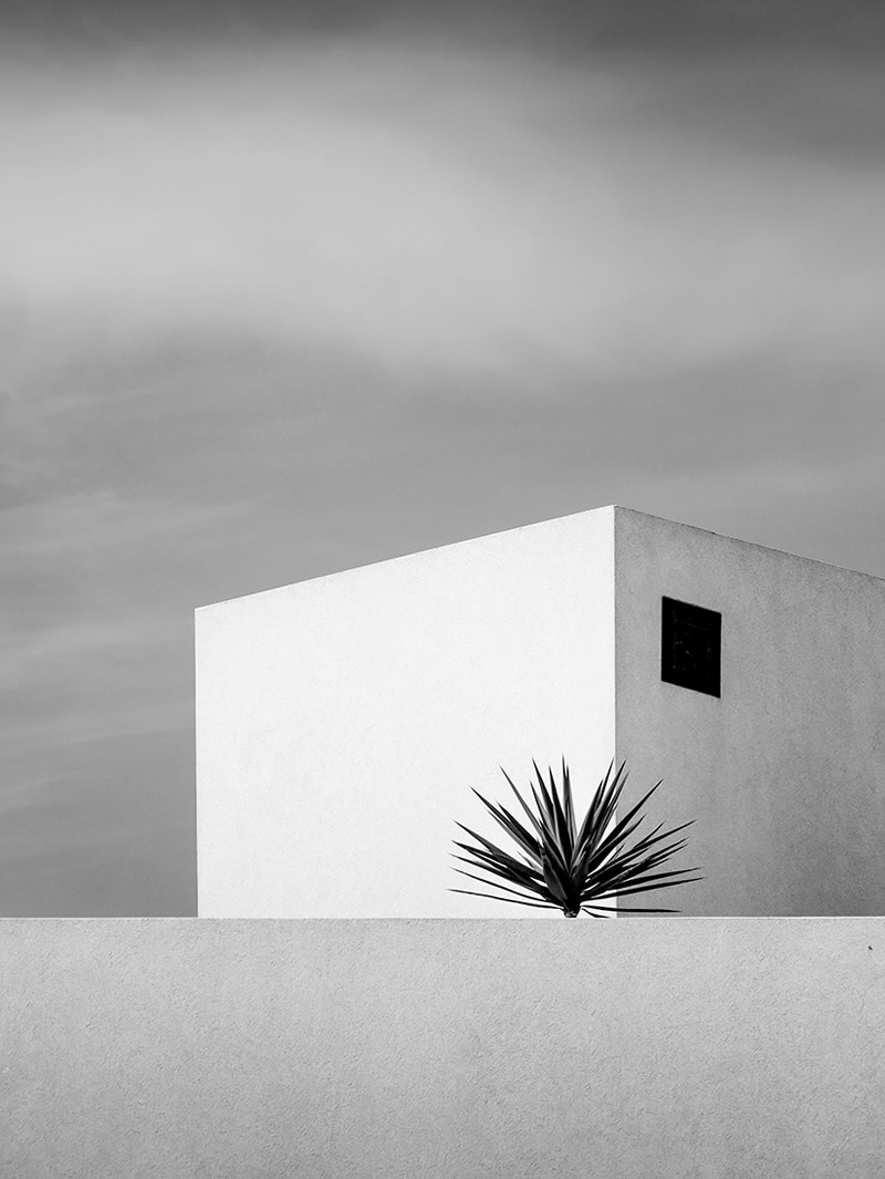 Winners of Black and White Minimalist Photography Prize 2021