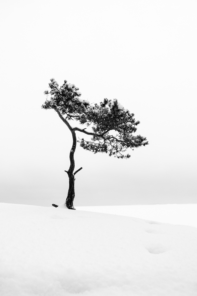 Winners of Black and White Minimalist Photography Prize 2021