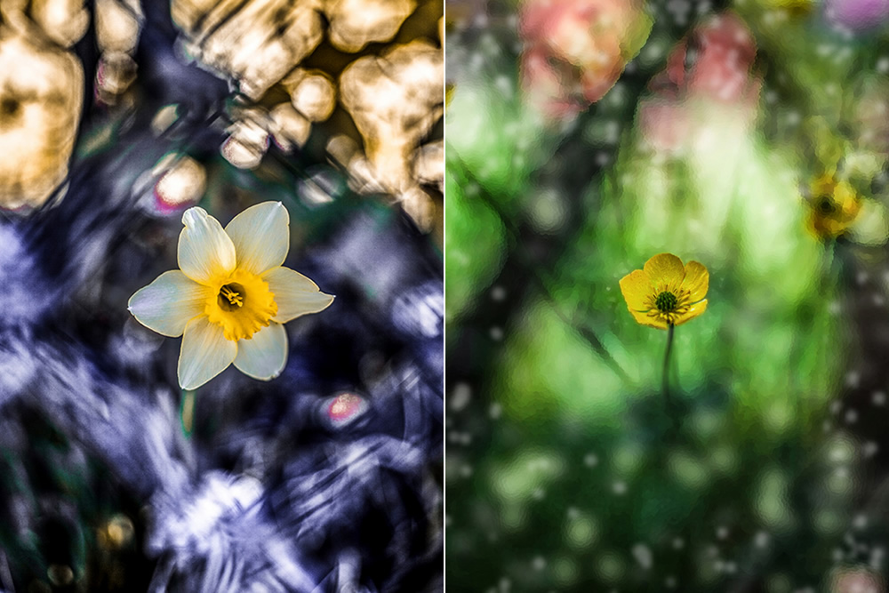 Contemplatio: Eulogy To The Contemplation Of Nature By Erika Zolli