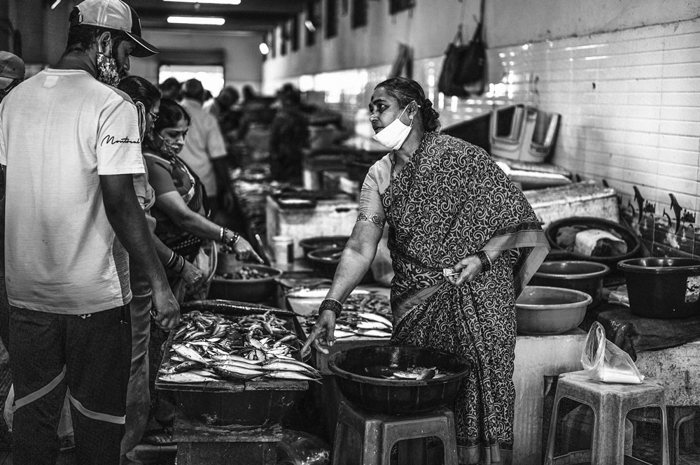 Malvan’s Bustling Fish Market: Photo Series by As Dnyaneshwar Vaidya