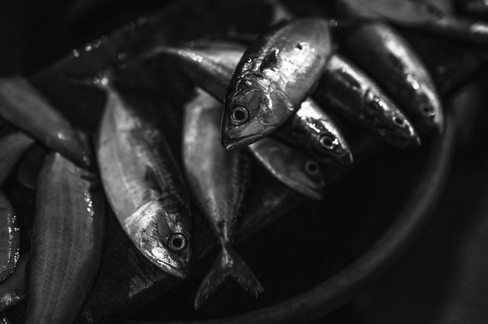 Malvan’s Bustling Fish Market: Photo Series by As Dnyaneshwar Vaidya