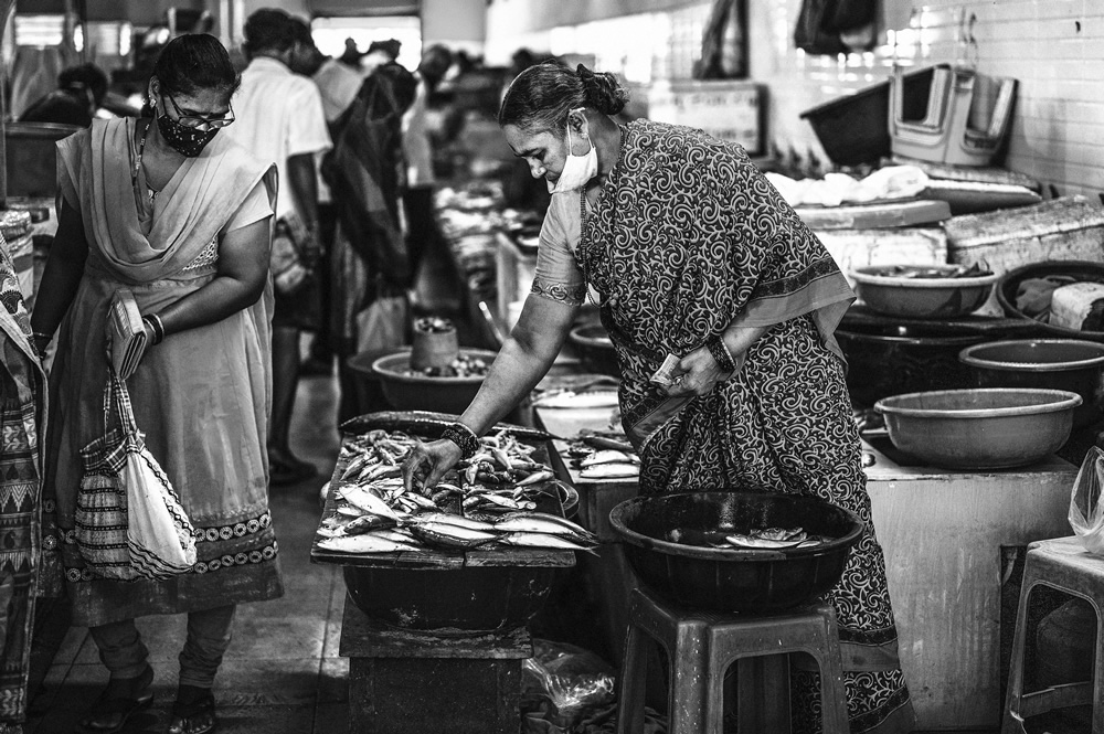 Malvan’s Bustling Fish Market: Photo Series by As Dnyaneshwar Vaidya