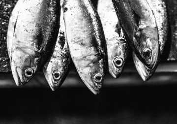 Malvan’s Bustling Fish Market: Photo Series by As Dnyaneshwar Vaidya