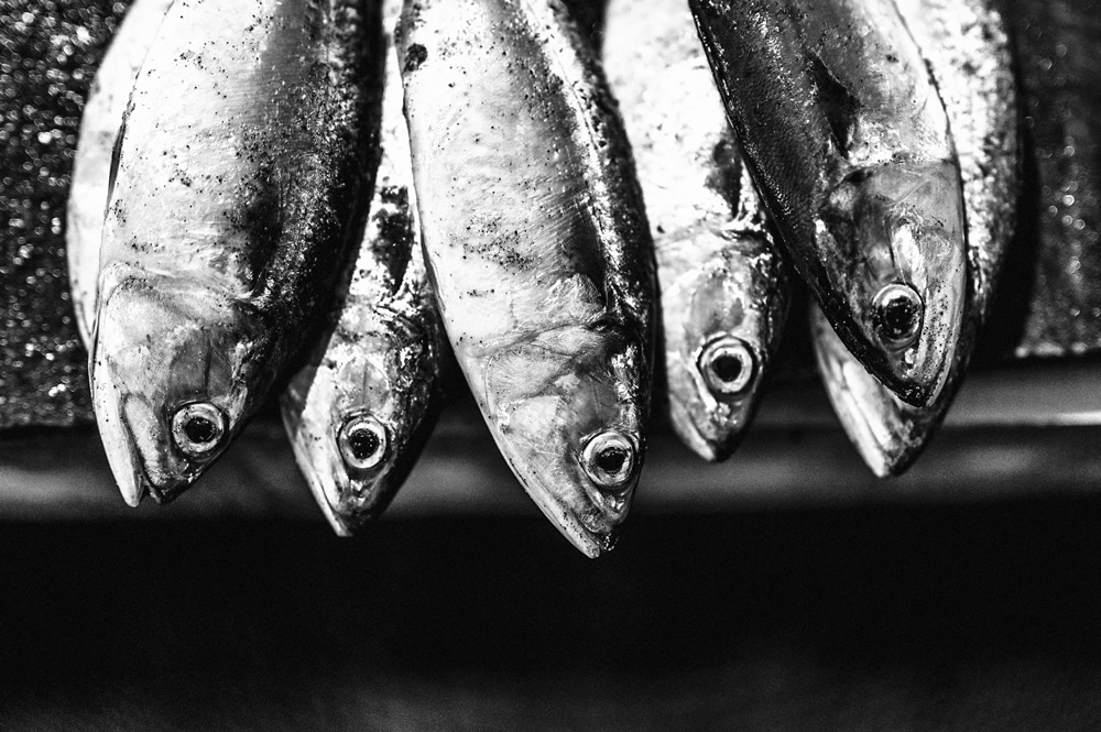 Malvan’s Bustling Fish Market: Photo Series by As Dnyaneshwar Vaidya