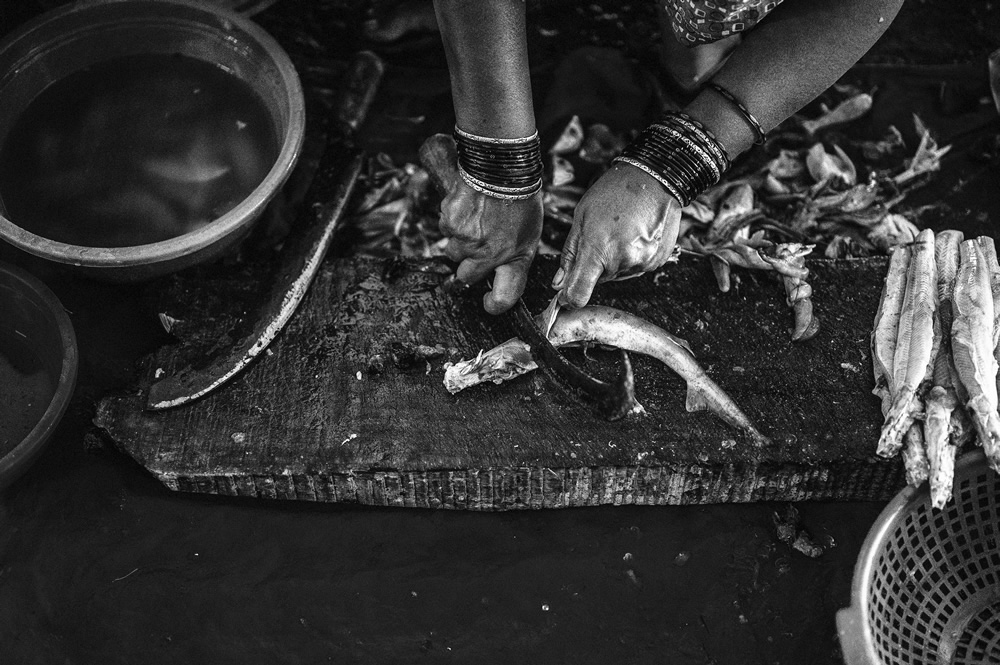 Malvan’s Bustling Fish Market: Photo Series by As Dnyaneshwar Vaidya