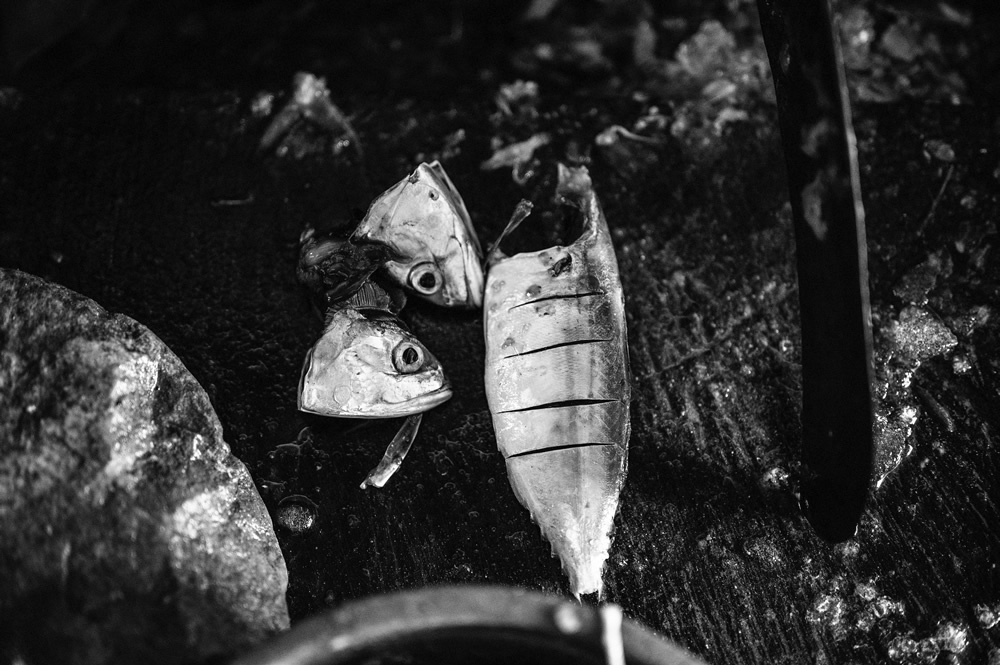 Malvan’s Bustling Fish Market: Photo Series by As Dnyaneshwar Vaidya