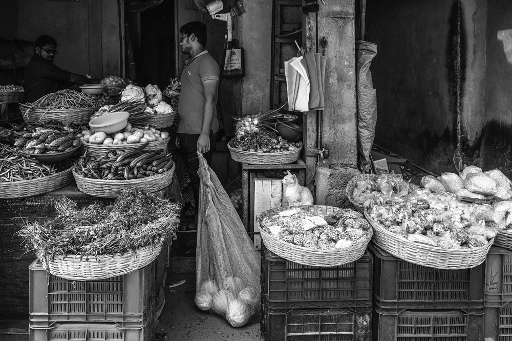 Malvan’s Bustling Fish Market: Photo Series by As Dnyaneshwar Vaidya