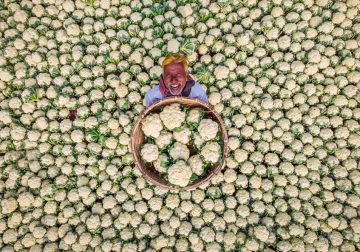 Aerial Photo & Video Contest Winners